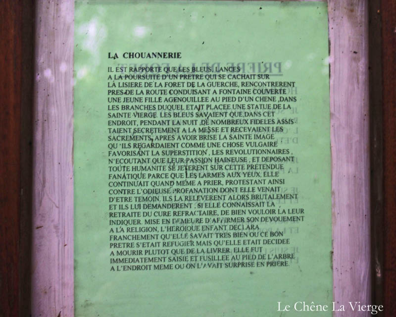 CheneLaVierge3
